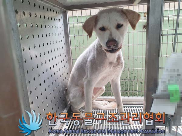 한국동물구조관리협회_411316202300334